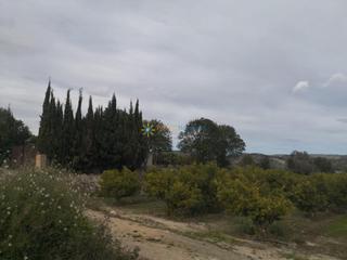 Finca rústica a Benigànim. Terreno de venta en beniganim