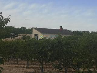 Casa a Benigànim. Casita de campo a la venta en beniganim