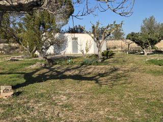 Finca rústica a Olleria (l´). Terrero de venta en lolleria