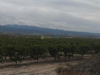 Finca rústica a Benigànim. Terreno con casita a la venta en beniganim