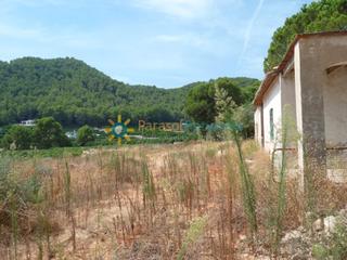 Finca rústica a Real de Gandía. Terreno de venta en real de gandia