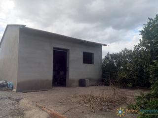 Finca rústica a Sellent. Terreno de venta en sellent