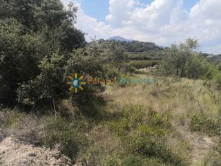 Finca rústica a Castelló de Rugat. Terreno de venta en castellón de rugat