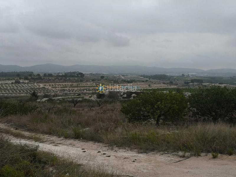 Foto 07d0982d-1865-4c30-a23e-8a3b3d0f2c08. Bauernhof in Albaida