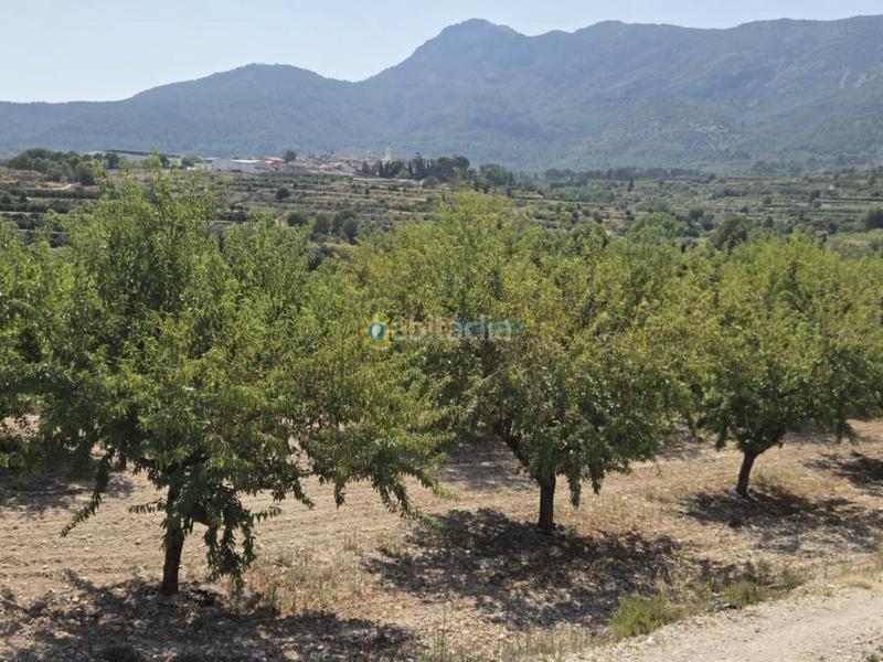 Foto 26913436-a589-4673-b93b-b507c701331f. Casale con camino in Bèlgida