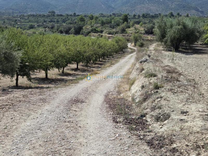 Foto 3852284b-c382-4326-ad12-a8710d5e3e6d. Casale con camino in Bèlgida