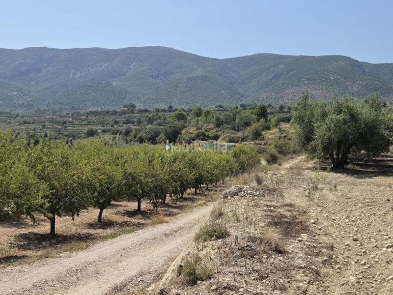 Foto 64245d1c-c2ac-4677-9faf-c38185f656f0. Casale con camino in Bèlgida