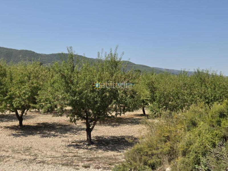 Foto 94462663-d5aa-48d1-91bd-0cc44a6b540a. Casale con camino in Bèlgida