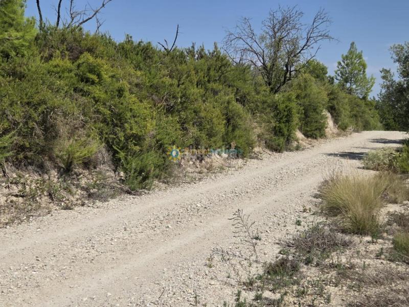 Foto b07e5a83-7a07-4de6-ac1c-3ce395deda44. Casale con camino in Bèlgida