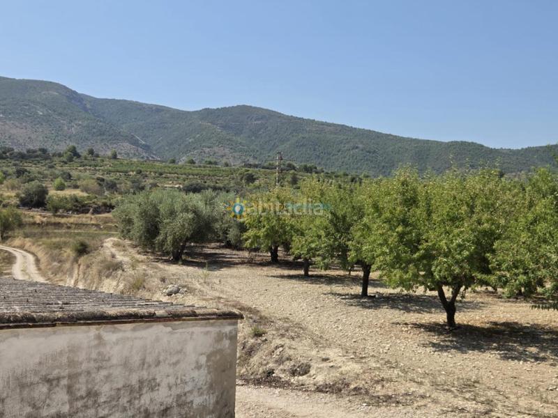 Foto ebc4ec2c-221e-4e44-a904-8ab5fbf438fd. Casale con camino in Bèlgida