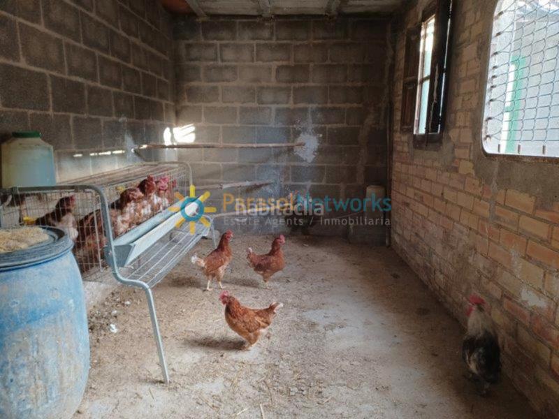 Foto 145c1415-5af7-48a6-983e-d836d2d36583. Chalet avec cheminée parking piscine dans Sant Rafael Ontinyent