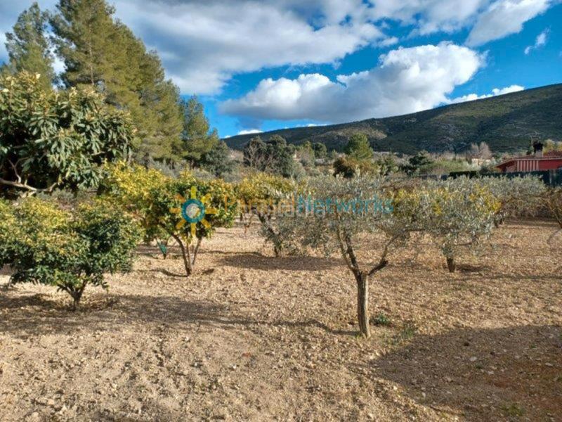 Foto 29039b01-013e-43ce-98f3-44300cc9e1a6. Chalet avec cheminée parking piscine dans Sant Rafael Ontinyent