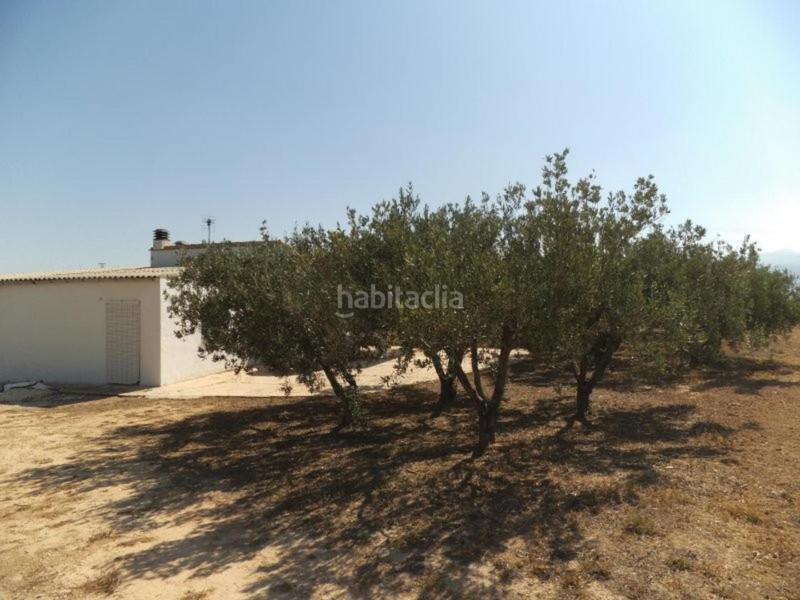Foto abb5e8d3-cb51-412a-8414-d8f86635131a. Chalet  muy bien ubicado en Agullent