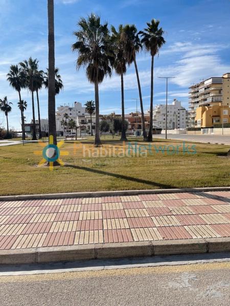 Foto 5d3761b6-2753-47bc-8cb9-cb3eb0707f27. Geschäftsraum in Xeraco