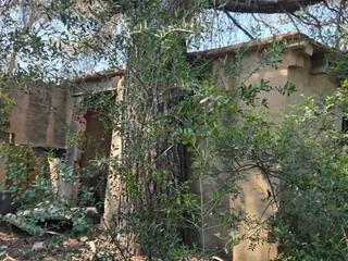 Finca rústica a Bellús. Terreno de venta en bellus