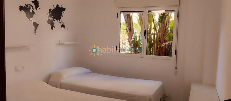 Foto ded97c44-5f77-43a4-91b6-bc46a83e8db9. Lloguer planta baixa a Oliva playa Oliva