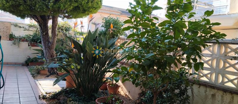 Foto 760aae93-3c0e-4749-b6eb-240beaa4858a. Miete erdgeschoss in Oliva playa Oliva