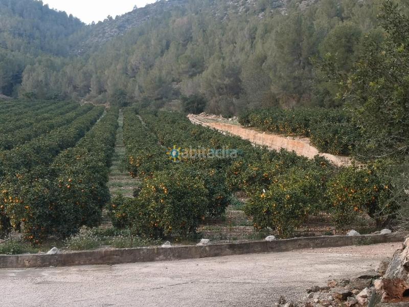 Foto 0e57d30d-4249-4f56-92ab-fac3b8a7b630. Masía finca rústica en Adsubia
