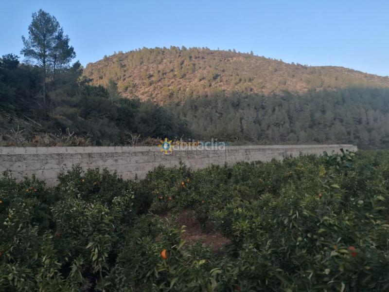 Foto 7f8184b3-e720-4d7d-99ce-6f9e609e9111. Masía finca rústica en Adsubia