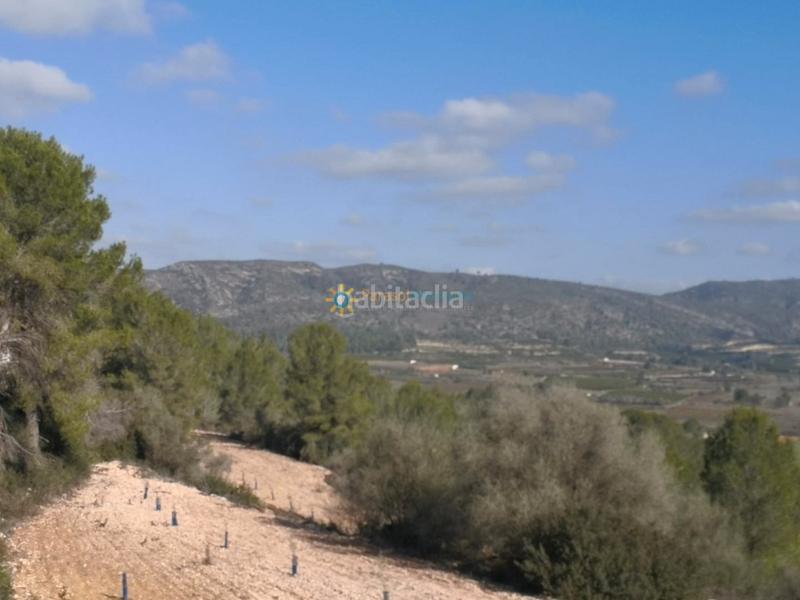 Foto fcc24082-ce16-44ce-ad82-e9549d6fbef6. Masía finca rústica en Adsubia