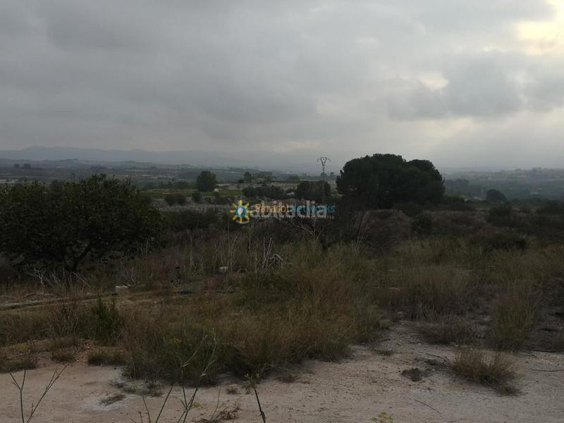 Foto fb5dac11-8ec4-4ce1-8625-7077cb1666d8. Fondo rustico in Albaida