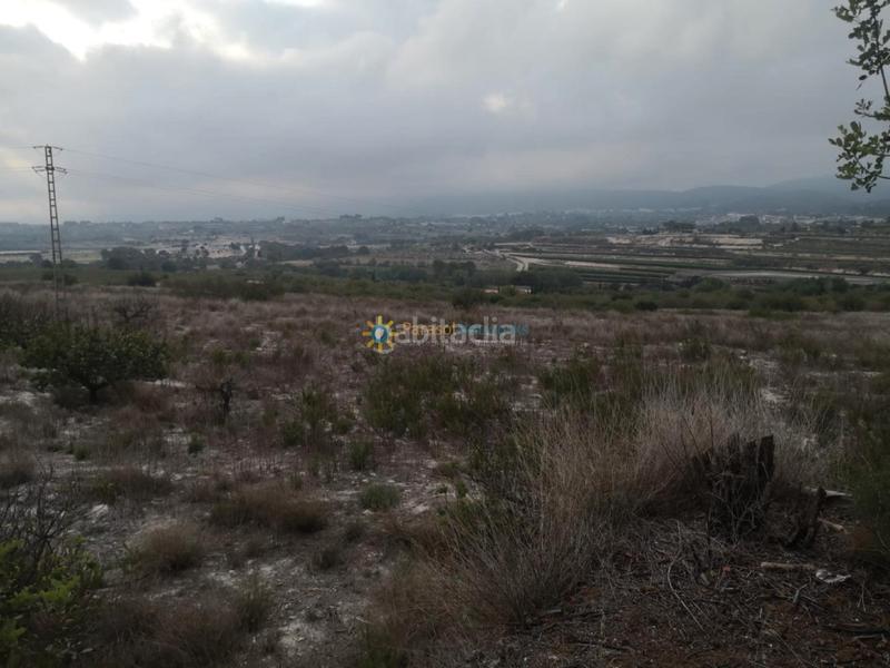Foto 78bd576c-1e43-421a-9ffc-c93f6e9126ba. Finca rústica a Albaida