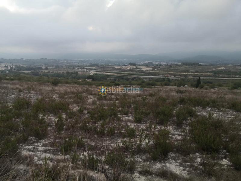 Foto c63f8724-e1c0-490a-bdb6-5ffe87d031a2. Finca rústica a Albaida
