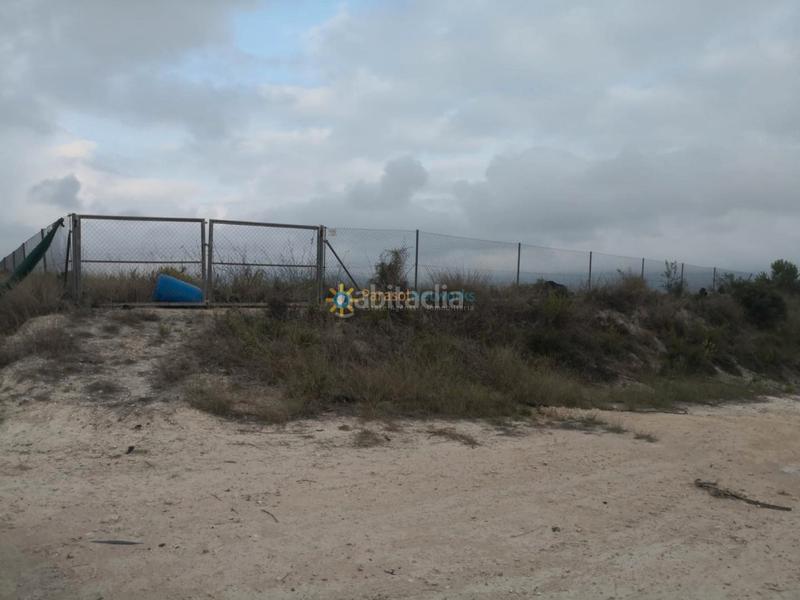 Foto d98fcf06-7f03-4d61-b4b9-ef53e633f4bc. Finca rústica a Albaida