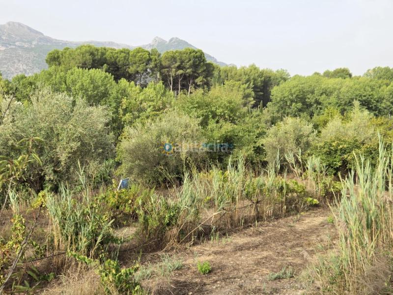 Foto f4f54514-b37d-41bc-9495-871c36a8c5fe. Chalet  situado a solo 3km en Muro de Alcoy