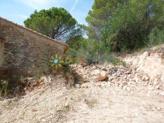 Fondo rustico in Real de Gandía. Terreno a la venta en real de gandía
