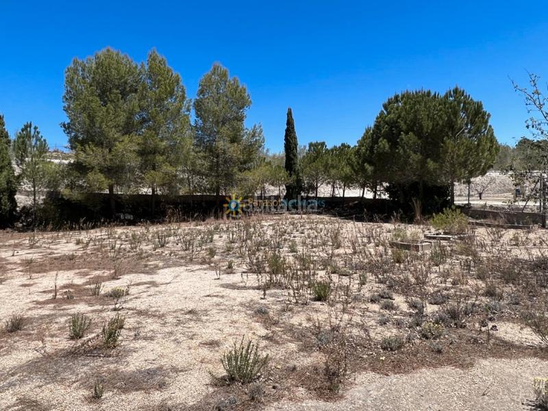 Foto 279108a7-7e92-48cb-8cad-221474730fef. Xalet amb xemeneia aparcament a Alfarrasí