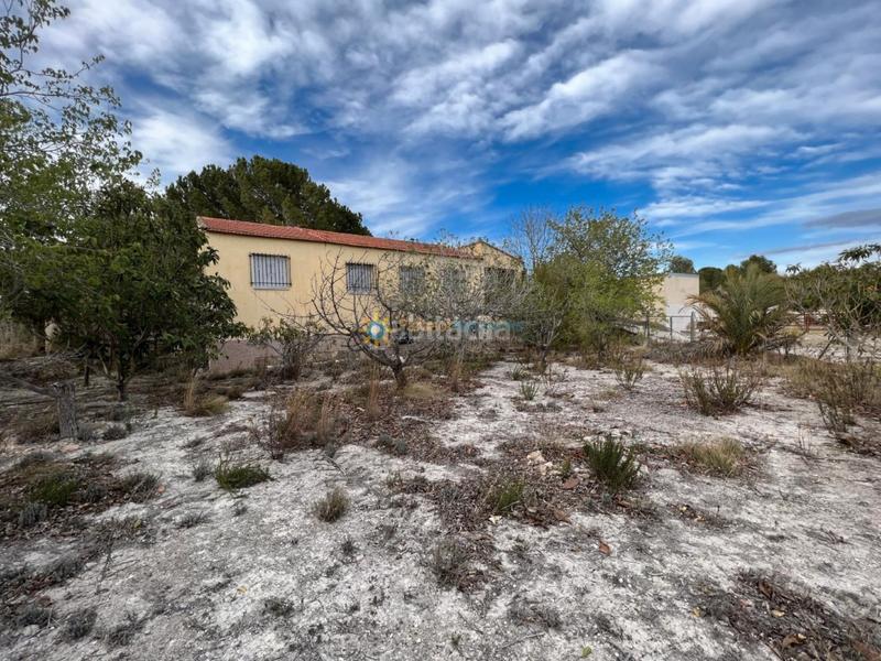 Foto 3e599779-637d-4c65-ba74-f6f3ed469c14. Xalet amb xemeneia aparcament a Alfarrasí