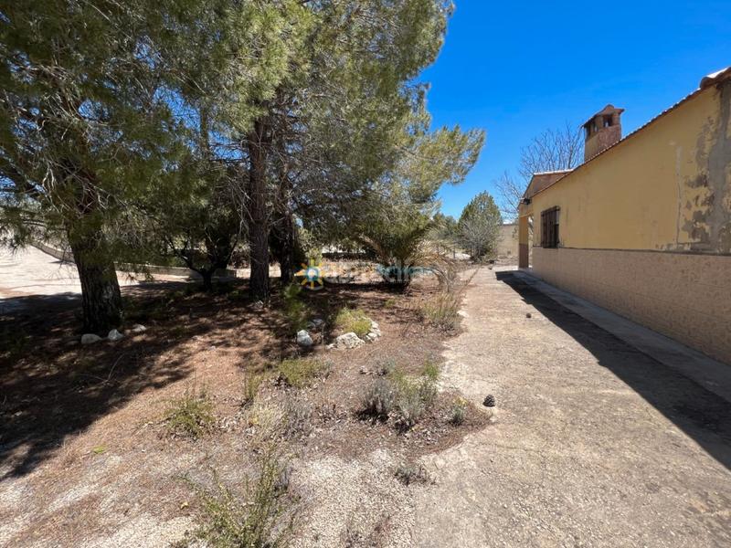 Foto 3ec66179-5b47-4a29-a4f5-8f90113deb30. Xalet amb xemeneia aparcament a Alfarrasí