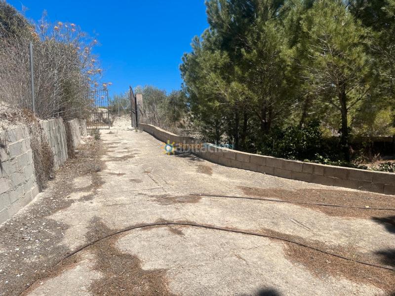 Foto 47ea74ff-9ac5-47c5-a26e-a42ed1d677cf. Xalet amb xemeneia aparcament a Alfarrasí