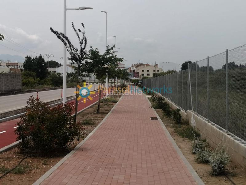 Foto 0f0621ed-ddd3-4e0e-9390-80fab666c367. Fondo rustico in Guardamar