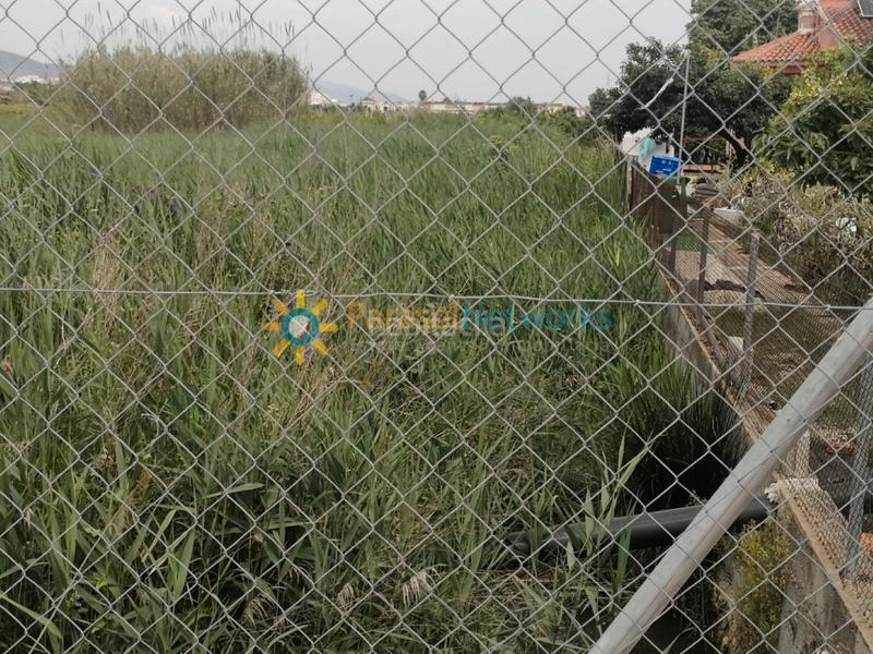 Foto a0ef8a0a-0e8d-4879-93b1-38f46fc80bf9. Rural plot in Guardamar