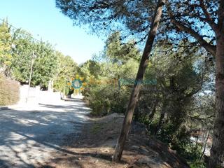 Finca rústica a Oliva Pueblo