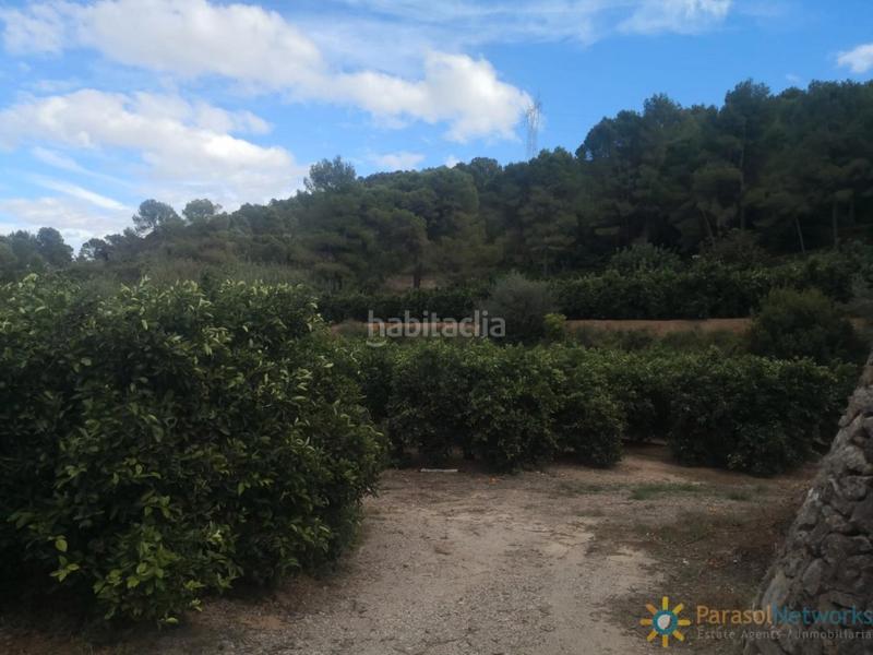 Foto d42f1646-4b1c-44bc-919b-f52b12eeecd2. Landgut in avinguda del país valencià 4 in Sellent