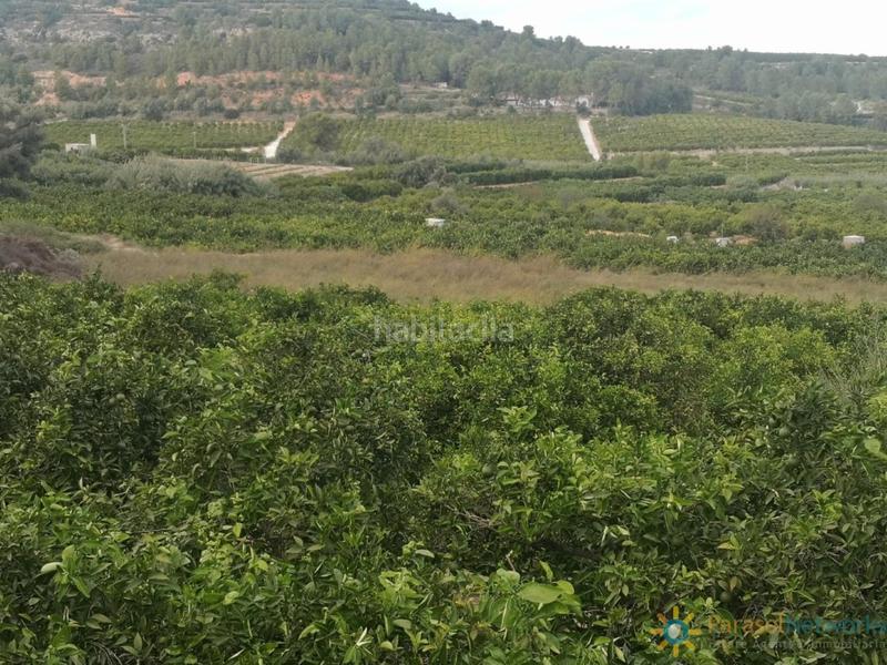 Foto f46cdaae-68f4-4749-9546-014e894f079e. Landgut in avinguda del país valencià 4 in Sellent