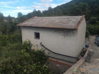 Finca rústica  Avinguda del país valencià 4