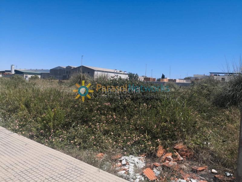 Foto 756d6eed-d3e3-4cb6-a2e7-6d8cd8671948. Solar industrial en polígono 5 95 en Daimús