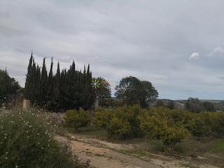 Fondo rustico in Benigànim
