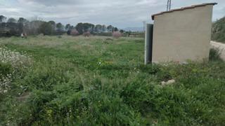 Fondo rustico in Pobla del Duc (la)