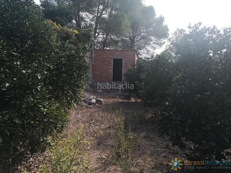 Foto 00930344-48ff-4571-9c56-2ccd0ebdf243. Landgut in Villalonga