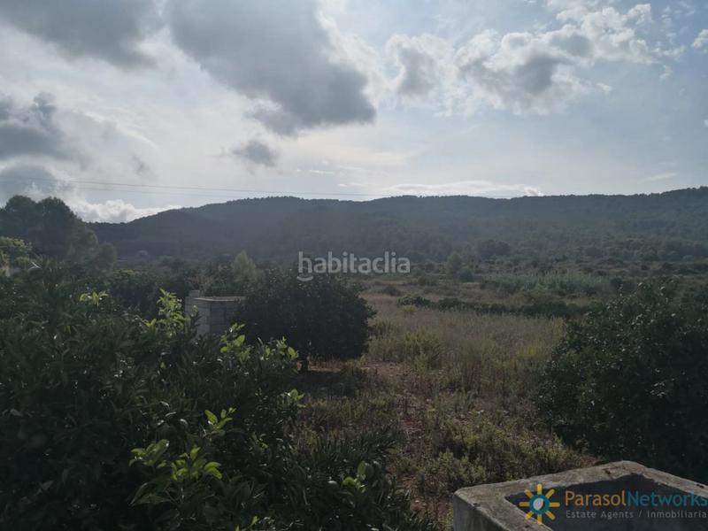 Foto cb5b589b-7bf4-4c2e-87ed-58dedd81986c. Landgut in Villalonga