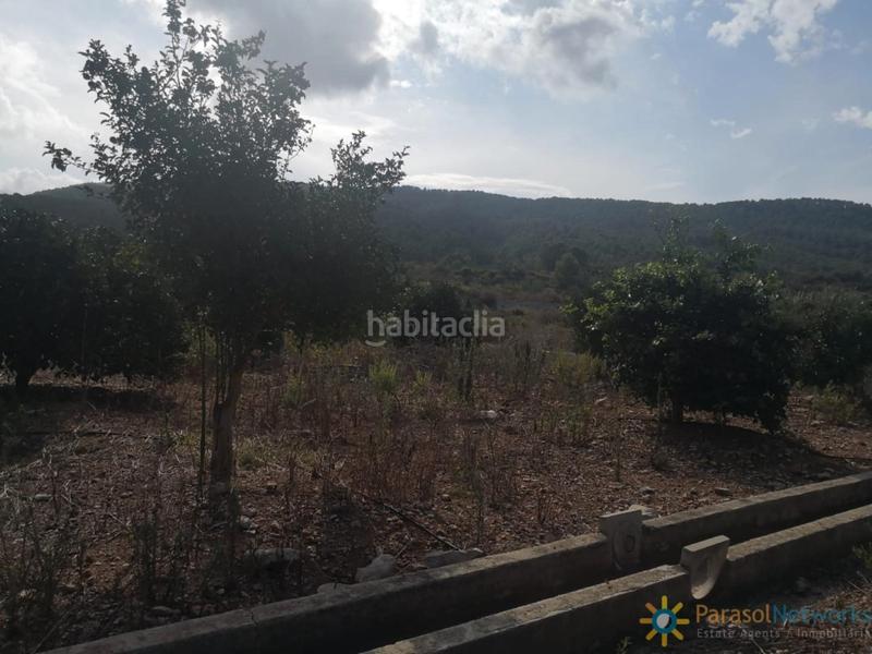 Foto f811575b-04e2-4b90-8bb4-b135868aa9e3. Landgut in Villalonga