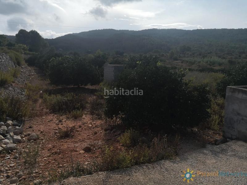 Foto f87d4595-2a44-44ed-b468-bc1884c1879d. Landgut in Villalonga