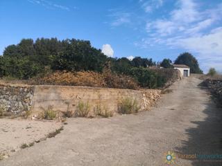 Rural plot in Villalonga