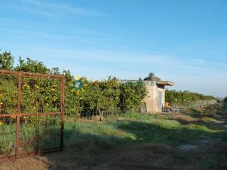 Fondo rustico in Oliva Pueblo. Parcela de venta en oliva
