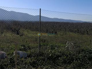 Finca rústica a Castelló de Rugat. Terreno de venta en castelló de rugat